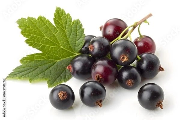 Fototapeta A Cluster of Black Currant Berries Is the Main Subject Photo