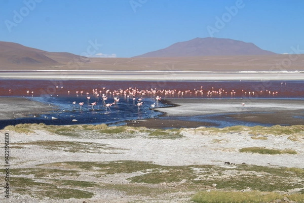 Obraz Lagoons, volcanoes and geysers in the Uyuni desert
