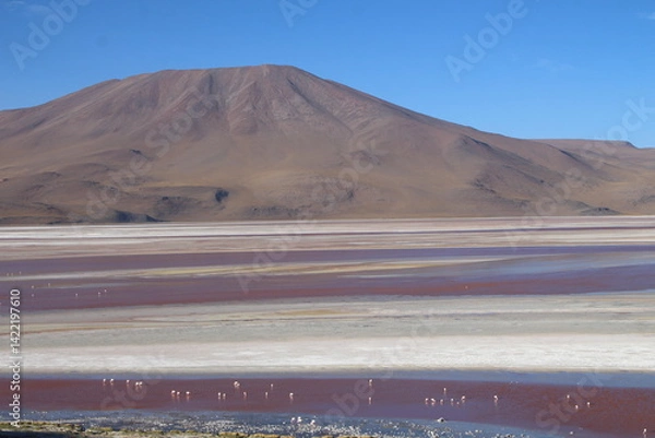 Obraz Lagoons, volcanoes and geysers in the Uyuni desert
