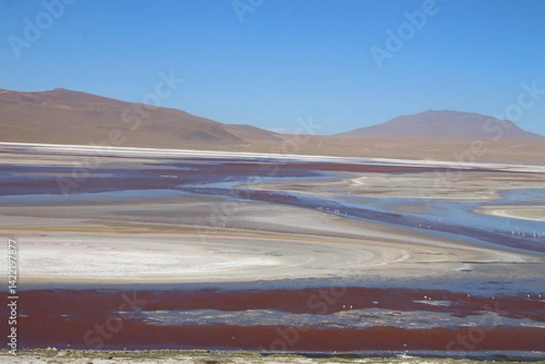 Obraz Lagoons, volcanoes and geysers in the Uyuni desert
