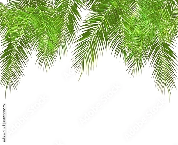 Fototapeta Lush Green Palm Fronds Isolated on White Background for Design Use