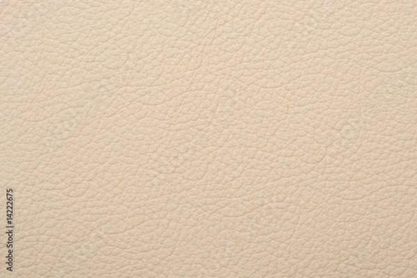 Obraz Natural leather texture