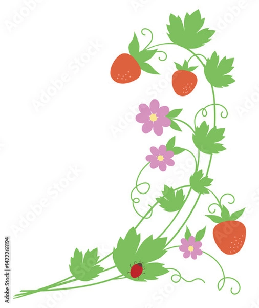 Obraz Ripe red strawberries twigs, flowers, leaves, tendrils, ladybird, floral corner, vector illustration isolated on white