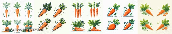 Fototapeta vector collection of fresh and delicious carrot vegetables