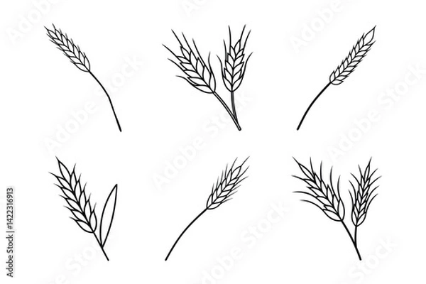 Fototapeta A set of wheat spikelet line art vector illustration