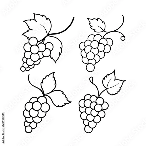Fototapeta Set of grape vine line art vector illustration