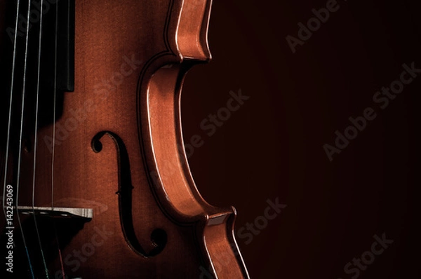 Fototapeta Violin musical instruments of orchestra closeup on black
