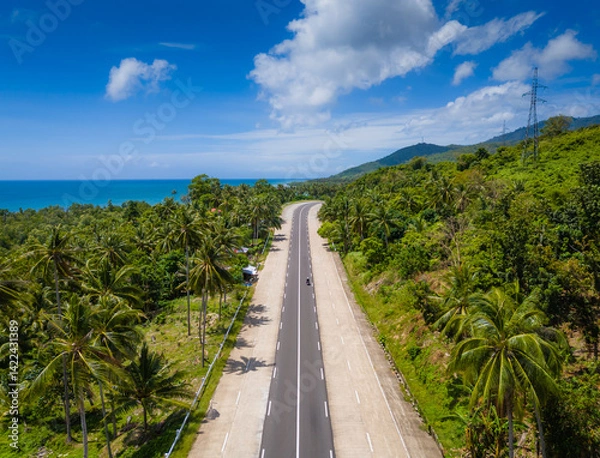 Obraz Exotic palm tree road to El Nido at Palawan island, Philippines. Aerial drone photo. Open road trip from Puerto Princesa to El Nido 