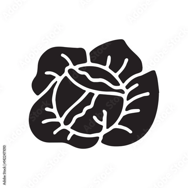 Fototapeta Cabbage vegetable in Vector Art