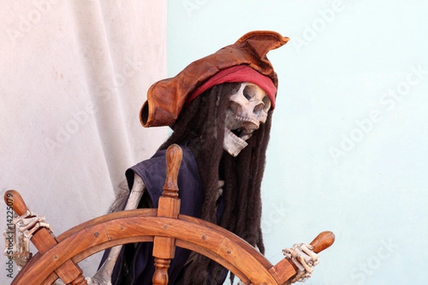 Fototapeta pirate