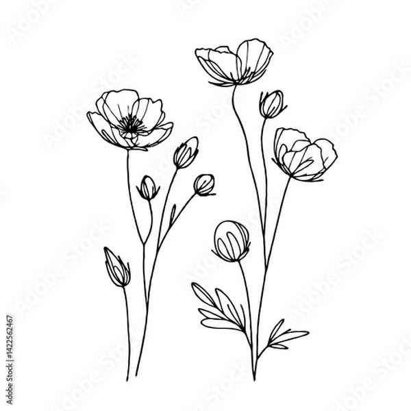 Fototapeta Adobe Illustrator Artwork