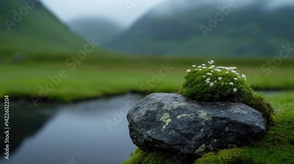 Obraz Misty mountain meadow with a rock, moss and flowers