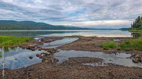 Obraz Wetlands at the edge of Mcleod Lake at Whiskers Point Provincial Park, British Columbia, Canada