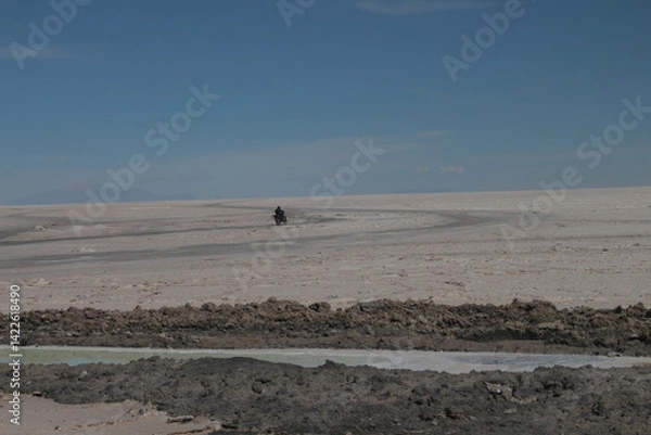 Obraz Lagoons, volcanoes and geysers in the Uyuni desert
