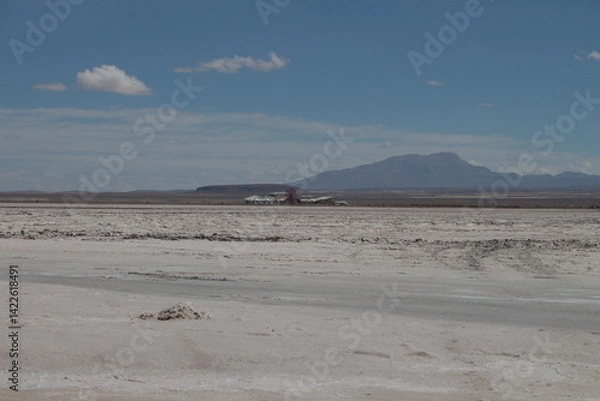Obraz Lagoons, volcanoes and geysers in the Uyuni desert
