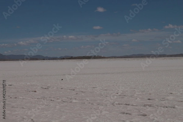 Obraz Lagoons, volcanoes and geysers in the Uyuni desert
