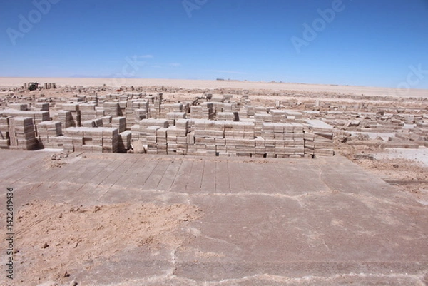 Obraz Lagoons, volcanoes and geysers in the Uyuni desert
