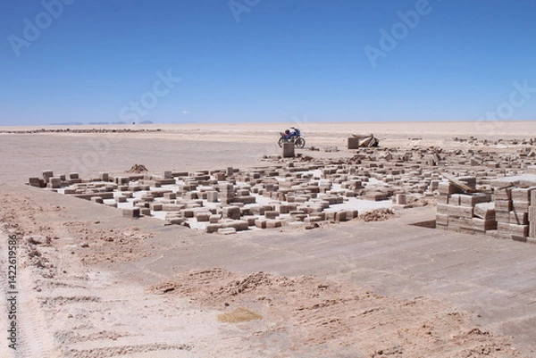 Obraz Lagoons, volcanoes and geysers in the Uyuni desert

