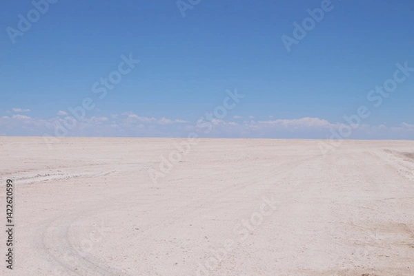 Obraz Lagoons, volcanoes and geysers in the Uyuni desert