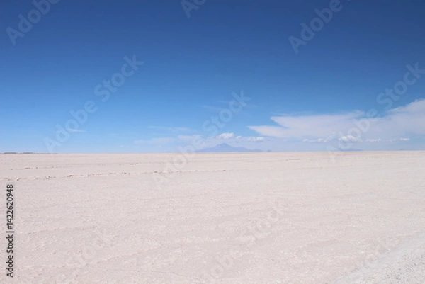 Obraz Lagoons, volcanoes and geysers in the Uyuni desert