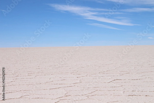 Obraz Lagoons, volcanoes and geysers in the Uyuni desert