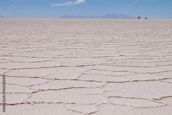 Obraz Lagoons, volcanoes and geysers in the Uyuni desert