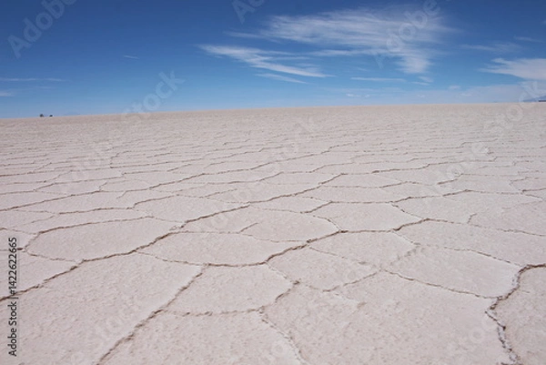 Obraz Lagoons, volcanoes and geysers in the Uyuni desert