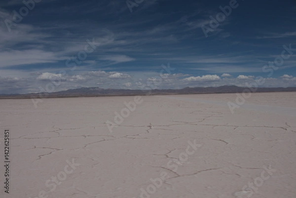 Obraz Lagoons, volcanoes and geysers in the Uyuni desert