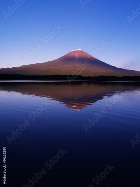 Fototapeta 夕暮れの富士山