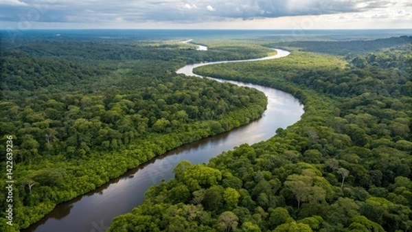 Obraz Aerial view of amazon rainforest with river winding through lush green trees landscape scenery beauty 100