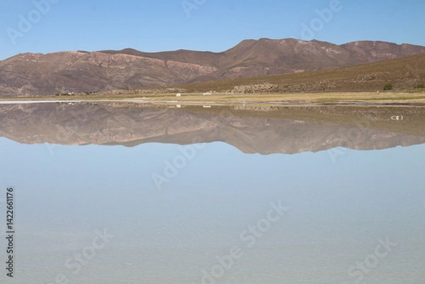 Obraz Lagoons, volcanoes and geysers in the Uyuni desert
