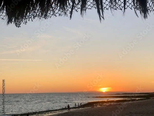 Obraz sunset on the beach