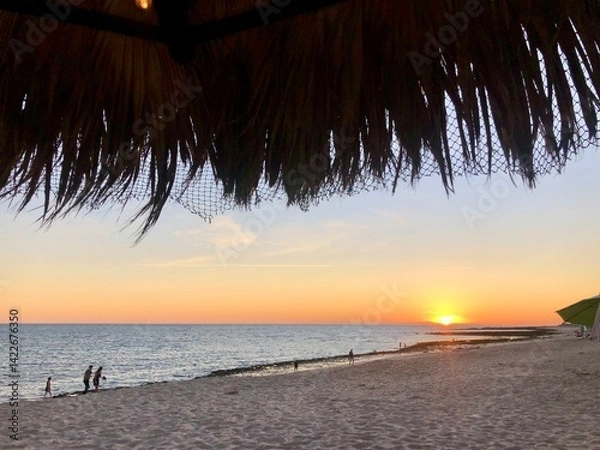 Obraz sunset on the beach