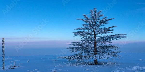 Fototapeta Beautiful winter landscape with snow covered tree against a clear blue sky background scene image