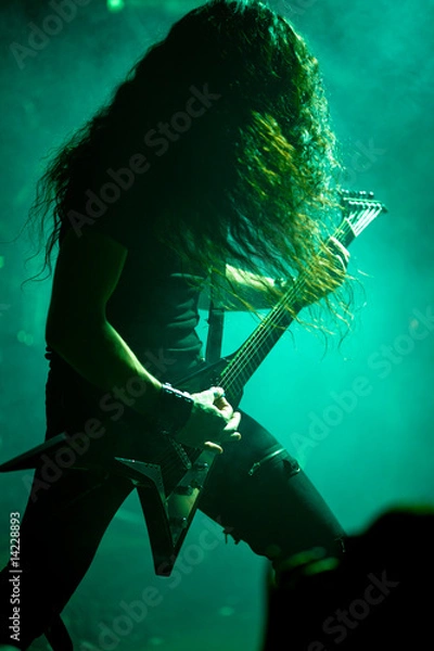 Fototapeta Guitarist