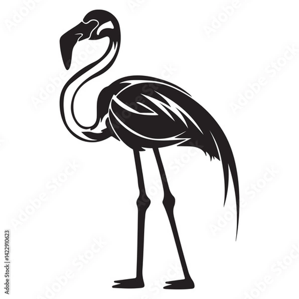 Obraz vector silhouettes illustration of a flamingo