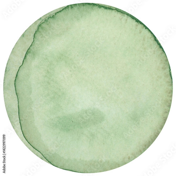 Fototapeta Light Green Watercolor Circle Thin Wash with Texture Brush Strokes on png Transparent Background