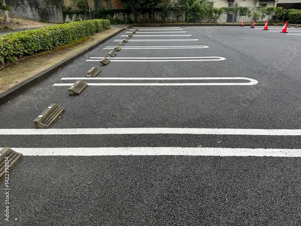 Obraz empty parking lot - row of empty parking spaces in a car park, white lines on asphalt, traffic cones and bushes in the background