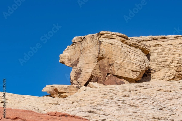 Fototapeta Aztec Sandstone(Jurassic) geological formation. weathering. Scenic Loop Dr, Red Rock Canyon National Conservation Area, Las Vegas, Clark County, Nevada. Mojave Desert. Basin and Range Province