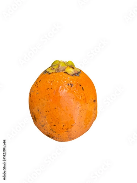 Fototapeta vibrant orange fruit with smooth surface and small crown of yellowish green leaves top, showcasing its natural beauty and freshness. This fruit is often enjoyed for its sweet flavor