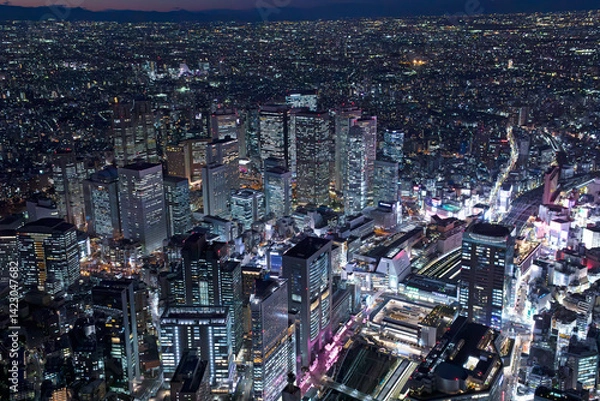 Fototapeta 新宿夜景・摩天楼