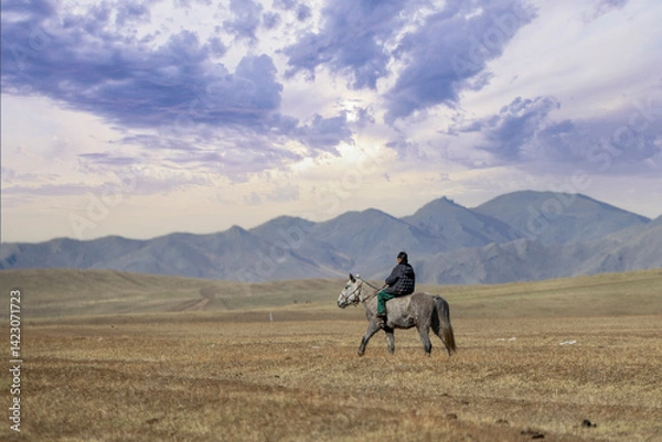Fototapeta mongolian horses in the wide field