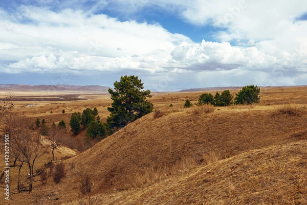 Fototapeta mongolian countryside 