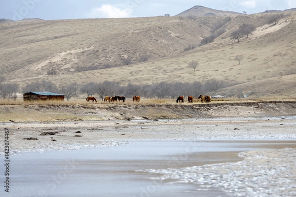Obraz mongolian countryside 