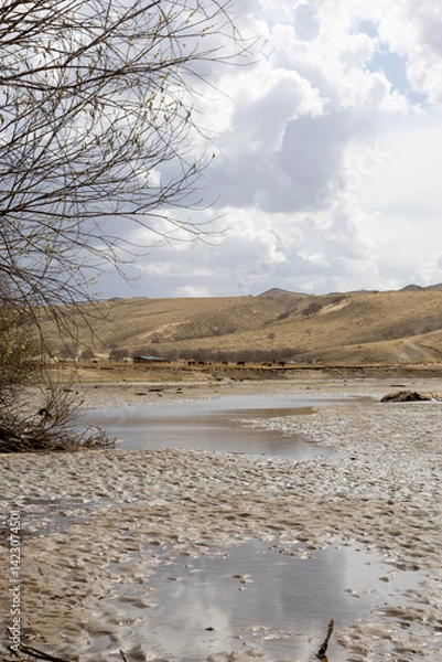 Obraz mongolian countryside 