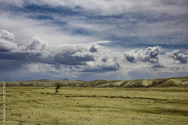 Obraz mongolian countryside