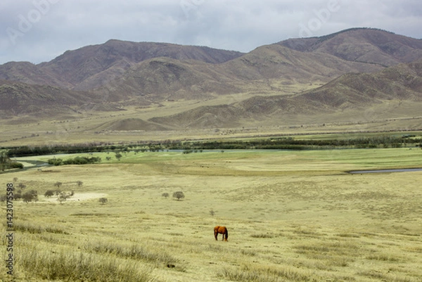 Obraz mongolian countryside