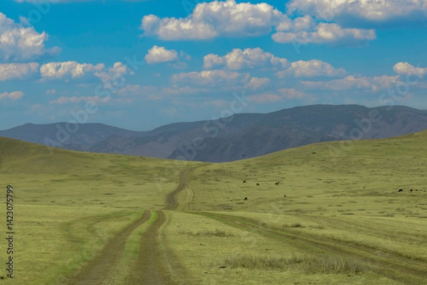 Obraz mongolian countryside
