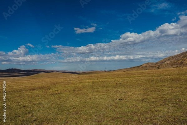 Obraz mongolian countryside
