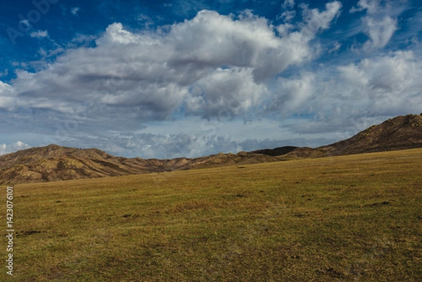 Obraz mongolian countryside